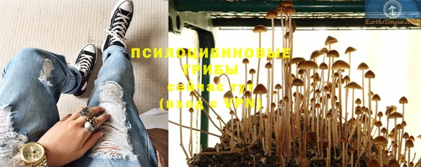 круглые Алзамай