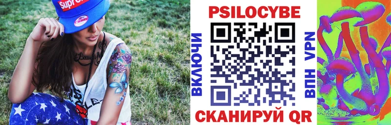 OMG как зайти  Добрянка  Псилоцибиновые грибы Psilocybe 