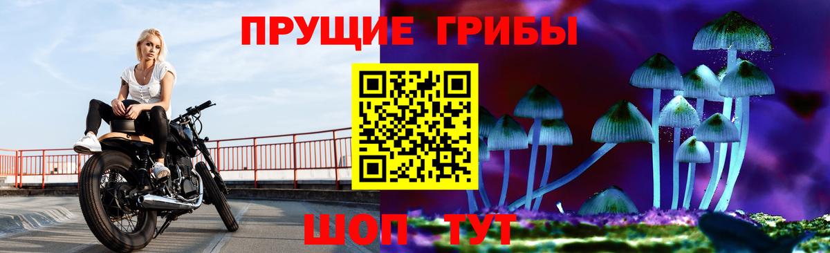 Псилоцибиновые грибы Psilocybine cubensis  цены наркотик  Вход с VPN  Добрянка  Галлюциногенные грибы Cubensis 
